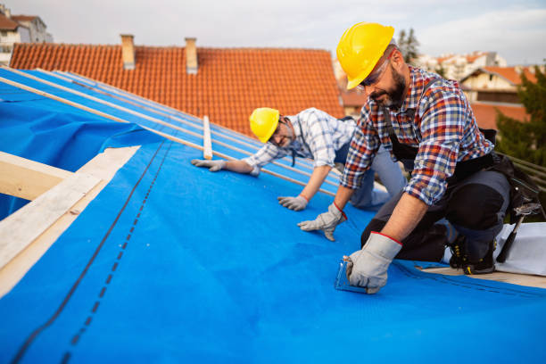 Best Solar Panel Roofing Installation  in Fox Lake, WI