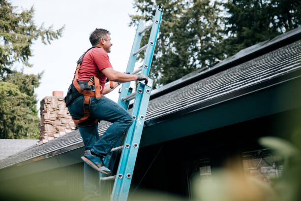 Best Rubber Roofing (EPDM, TPO)  in Fox Lake, WI