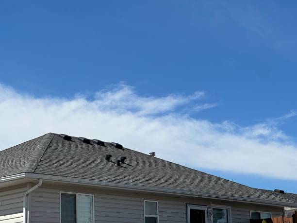 Best Roof Leak Repair  in Fox Lake, WI